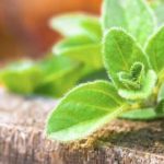 Immune Boosting, Superbug Hacks
