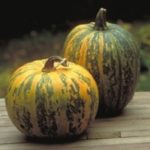 Health Benefits of Pumpkin Seed Oil