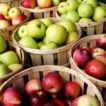 An Apple a Day Keeps Aging at Bay