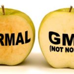 GMO?? GM-Ohhhh?! And GM-NO!!