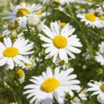 Weekly Anti-Aging Hacks