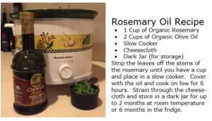 rosemary-oil-recipe